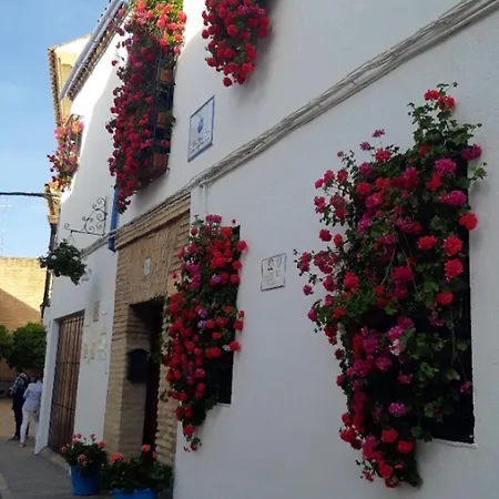 Apartamento Apartamento En Barrio San Basilio *